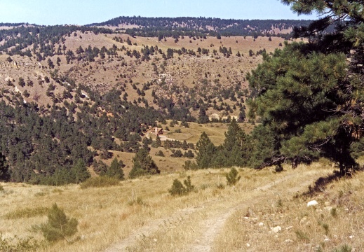 Headquarters from the Freeway 11