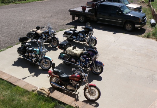 Cousins bikes